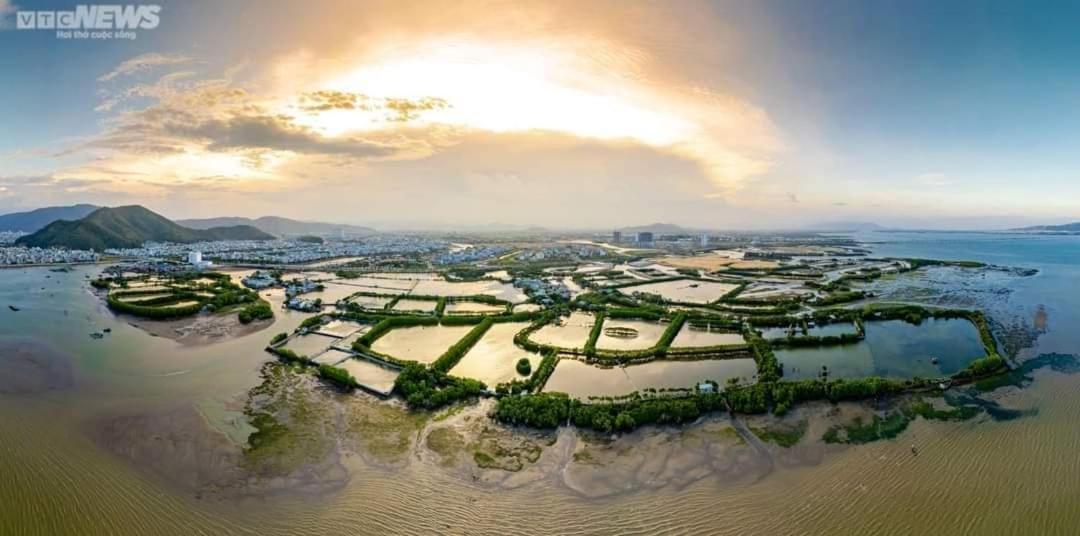 Nhatuishare กวีเญิน ภายนอก รูปภาพ